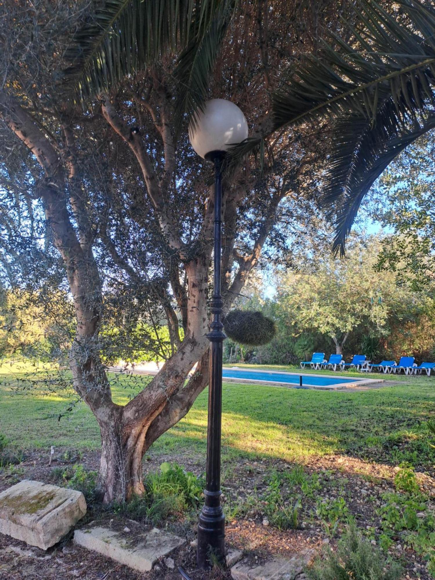 Es Garballons Manacor  Zewnętrze zdjęcie